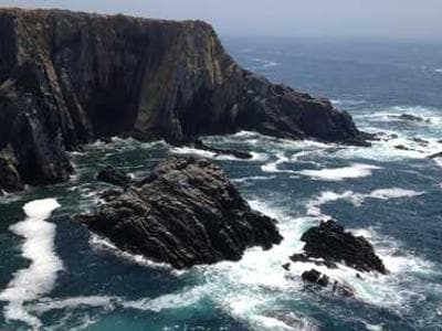 Pro turf maintenance